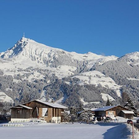 Apartment Alpine By Apartment Managers Kirchberg in Tirol Dış mekan fotoğraf